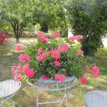 Les Patis Bed & Breakfast Vouvray Luaran gambar